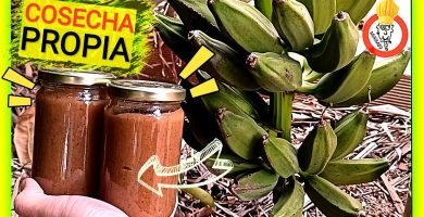 Receta mejor mermelada de plátano casera by mixim89