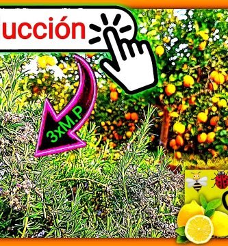 Aumentar polinización en citricos mas polinizadores mas producción by mixim89