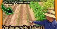 Que verduras y hortalizas cultivar en primavera verano huerta urbana by mixim89