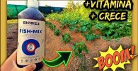 Fish Mix de Biobizz mejor fertilizante orgánico para plantas de interior y exterior apto para agricultura ecológica by mixim89