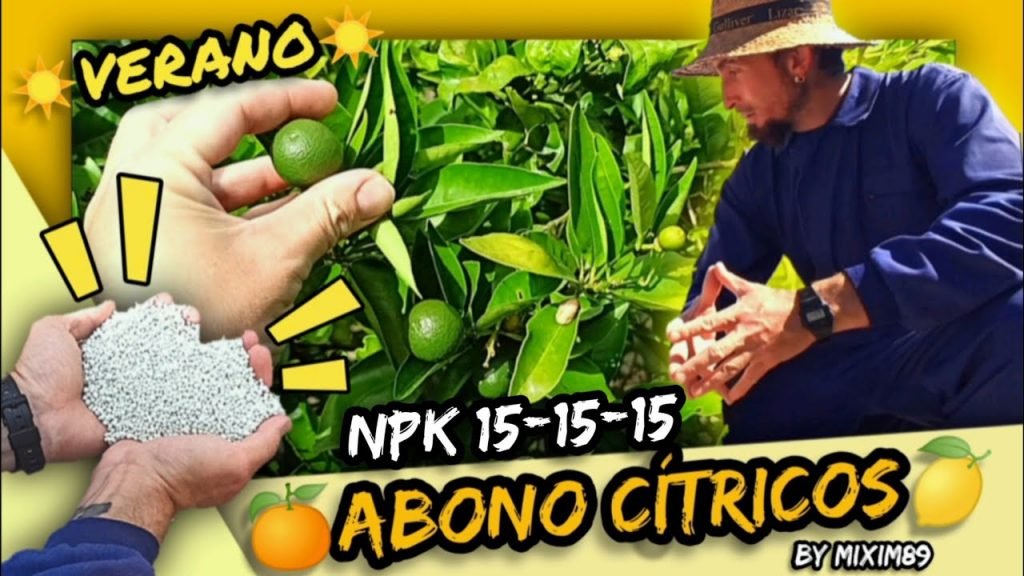 Mejor fertilizante de verano para abonado en cítricos triple 15 o 15-15-15 dosis y modo de empleo by mixim89