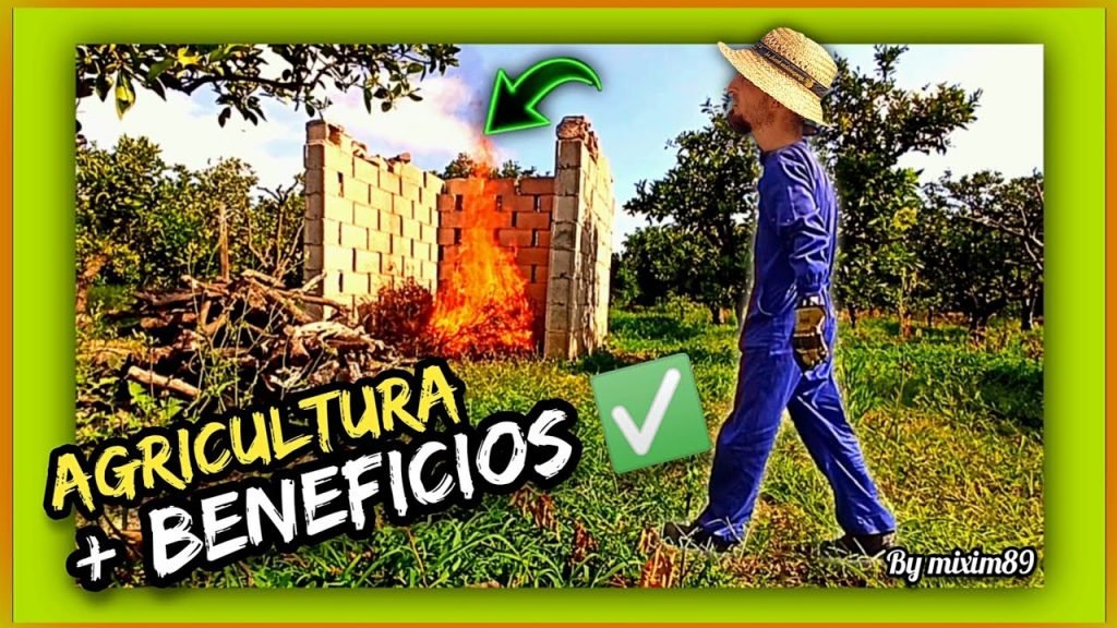 Quemar o triturar restos de poda y aprovecharlo como fertilizante organico micro y macronutrientes esenciales by mixim89