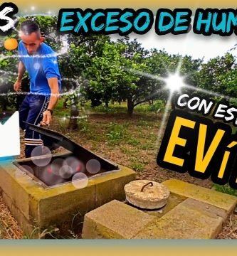 2. Sistema de DRENAJE de AGUA en SUELOS AGRÍCOLAS Alcaduf Cultivos Cítricos 100% SANOS by mixim89