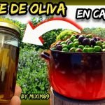 Como Hacer en Casa ACEITE de OLIVA VIRGEN EXTRA (Paso a Paso) by mixim89