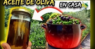 Como Hacer en Casa ACEITE de OLIVA VIRGEN EXTRA (Paso a Paso) by mixim89