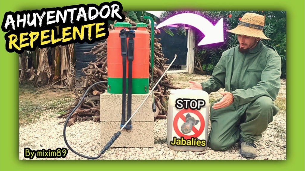 MEJOR TRUCO para AHUYENTAR o REPELER a los JABALÍES En Cultivos Cítricos by mixim89
