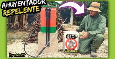 MEJOR TRUCO para AHUYENTAR o REPELER a los JABALÍES En Cultivos Cítricos by mixim89
