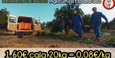 CAMPAÑA CATASTRÓFICA NAVELINA ¿Por qué se está hundiendo el Sector Agrícola en España? by mixim89