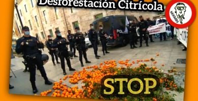 Manifestación AGRICULTURA (Valencia) 24 de febrero de 2022 (2°PARTE) by mixim89