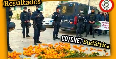 Manifestación de AGRICULTURA (Valencia) 24 de febrero de 2022 (1°PARTE) by mixim89