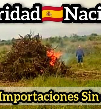 ARRANCAR NARANJOS en Plena Producción (Presente y Futuro de la CITRICULTURA ESPAÑOLA) by mixim89