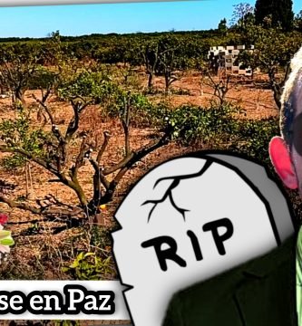 PRESENTE y FUTURO de la AGRICULTURA en ESPAÑA (Corte de Naranjos en Plena Producción) by mixim89