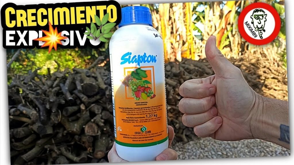 Abonado en Cítricos​ (Mejor ABONO FOLIAR y FERTIRRIGACIÓN) Crecimiento y Desarrollo by mixim89