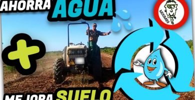 Mejor Forma de AHORRAR AGUA en el CAMPO (Abono Verde + Laboreo con Rotovator) by mixim89