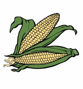 Agricultura by mixim89