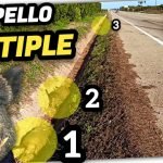 Cazar o Atropellar “El Futuro del Jabalí en España” by mixim89