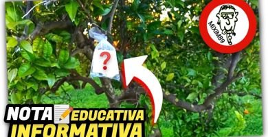 Mensaje para AGRICULTOR IRRESPETUOSO en Comunidad de Vecinos by mixim89