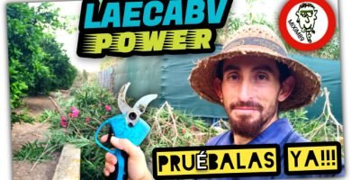 Tijeras de Poda a Batería Laecabv (Las Mejor Valoradas por los Clientes) by mixim89