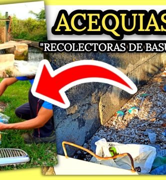 RIEGO a MANTA de NARANJOS y LIMONEROS + Recogida de Basura en la Acequia by mixim89