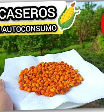 Receta de Kikos Caseros Ecológicos con Maíz de Autoconsumo de Nuestra Huerta by mixim89