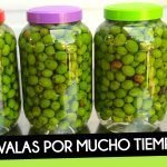ACEITUNAS en CONSERVA o SALMUERA (Curar y Conservar 1 Año) Receta Paso a Paso by mixim89