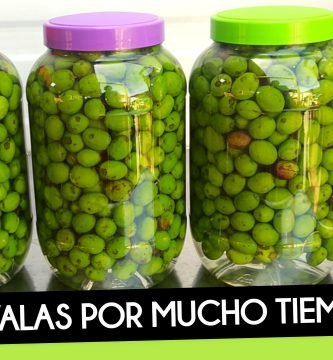 ACEITUNAS en CONSERVA o SALMUERA (Curar y Conservar 1 Año) Receta Paso a Paso by mixim89