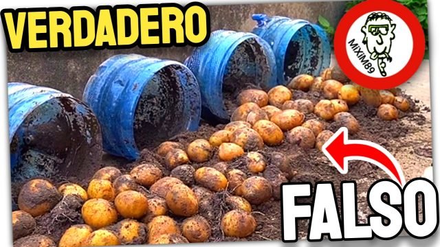 CULTIVO de PATATAS en CASA (Descubriendo VIDEOS FAKE) Que no te engañen by mixim89