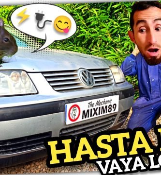 RATAS en el COCHE Consejos para Evitarlas by mixim89
