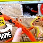 CAMBIO de GOMA GAS BUTANO (Mordedura de Rata) Riesgo de Explosión en el Mobilhome by mixim89