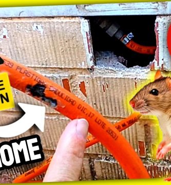 CAMBIO de GOMA GAS BUTANO (Mordedura de Rata) Riesgo de Explosión en el Mobilhome by mixim89