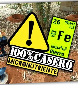 HIERRO COMPOSTADO + AHOYADORA de GASOLINA (Abono Casero Plantas y Árboles Frutales) by mixim89